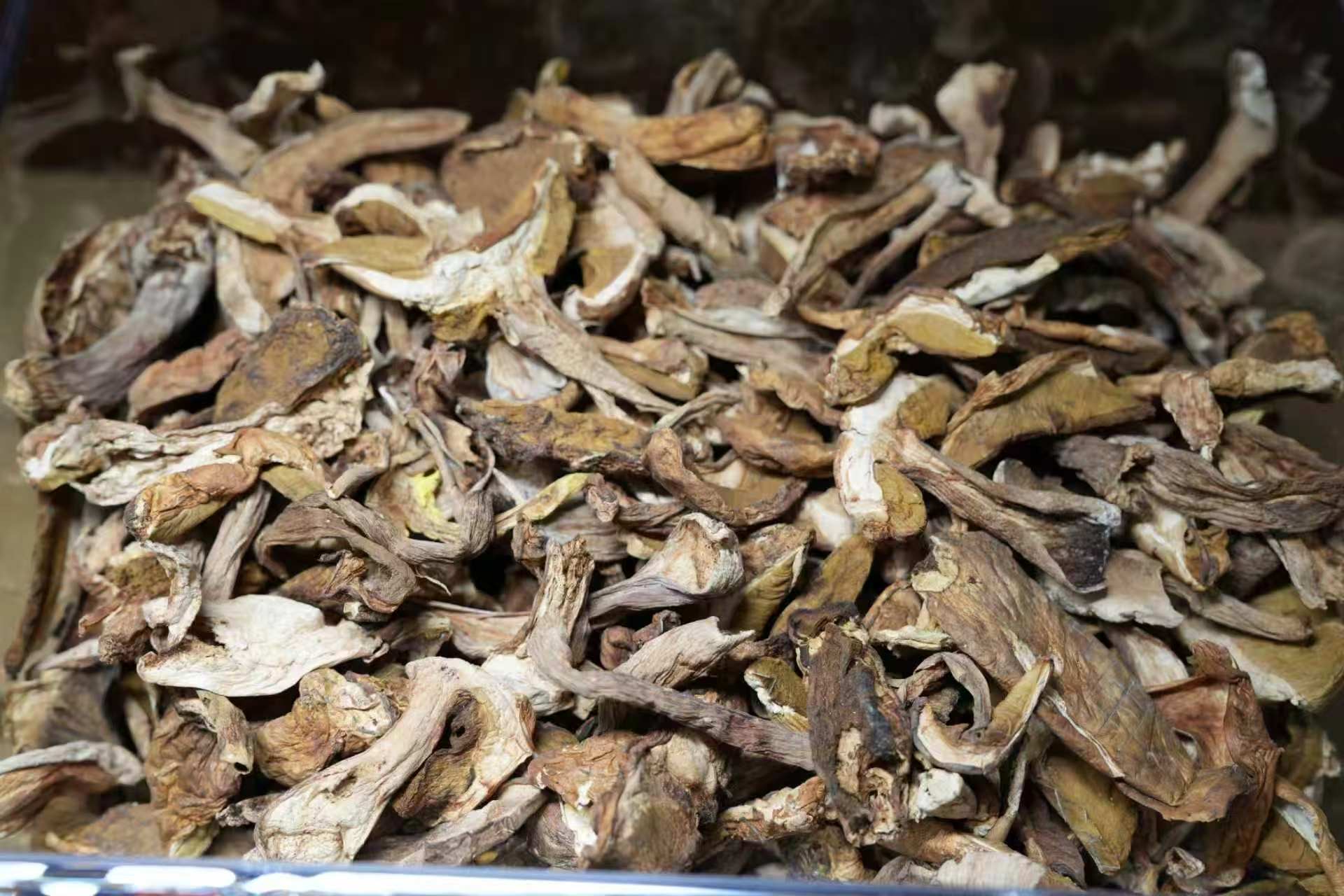 美味牛肝菌，克