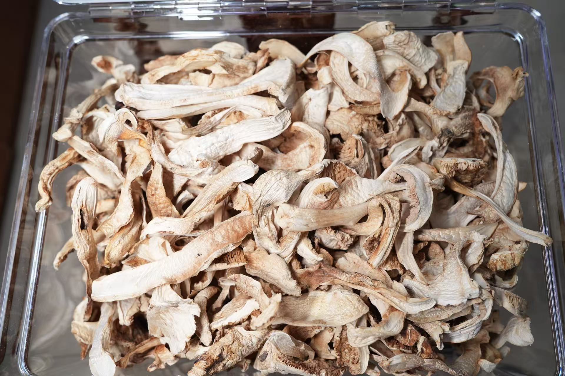 野生松茸，克