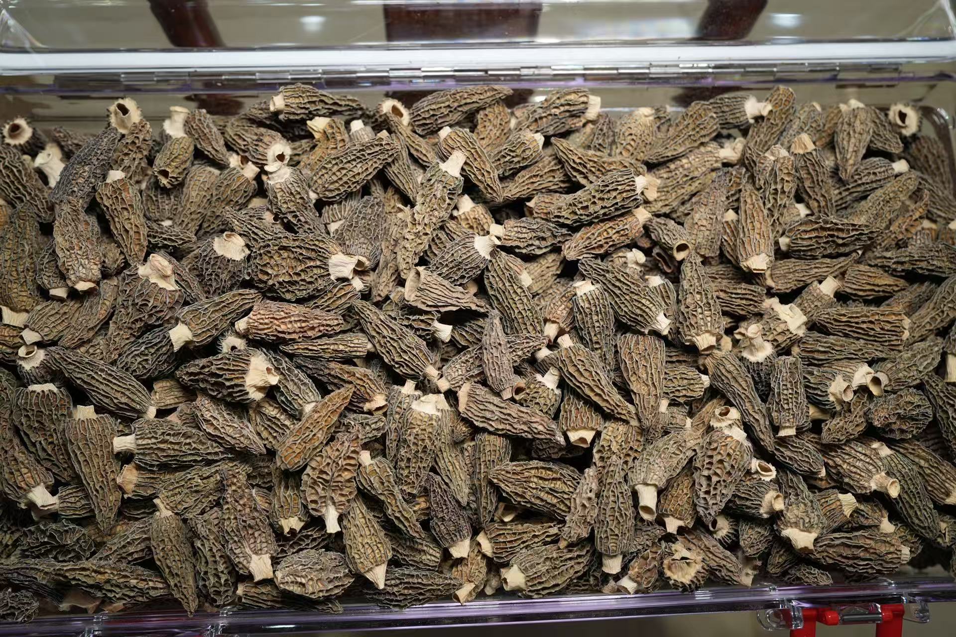 羊肚菌4-6，克