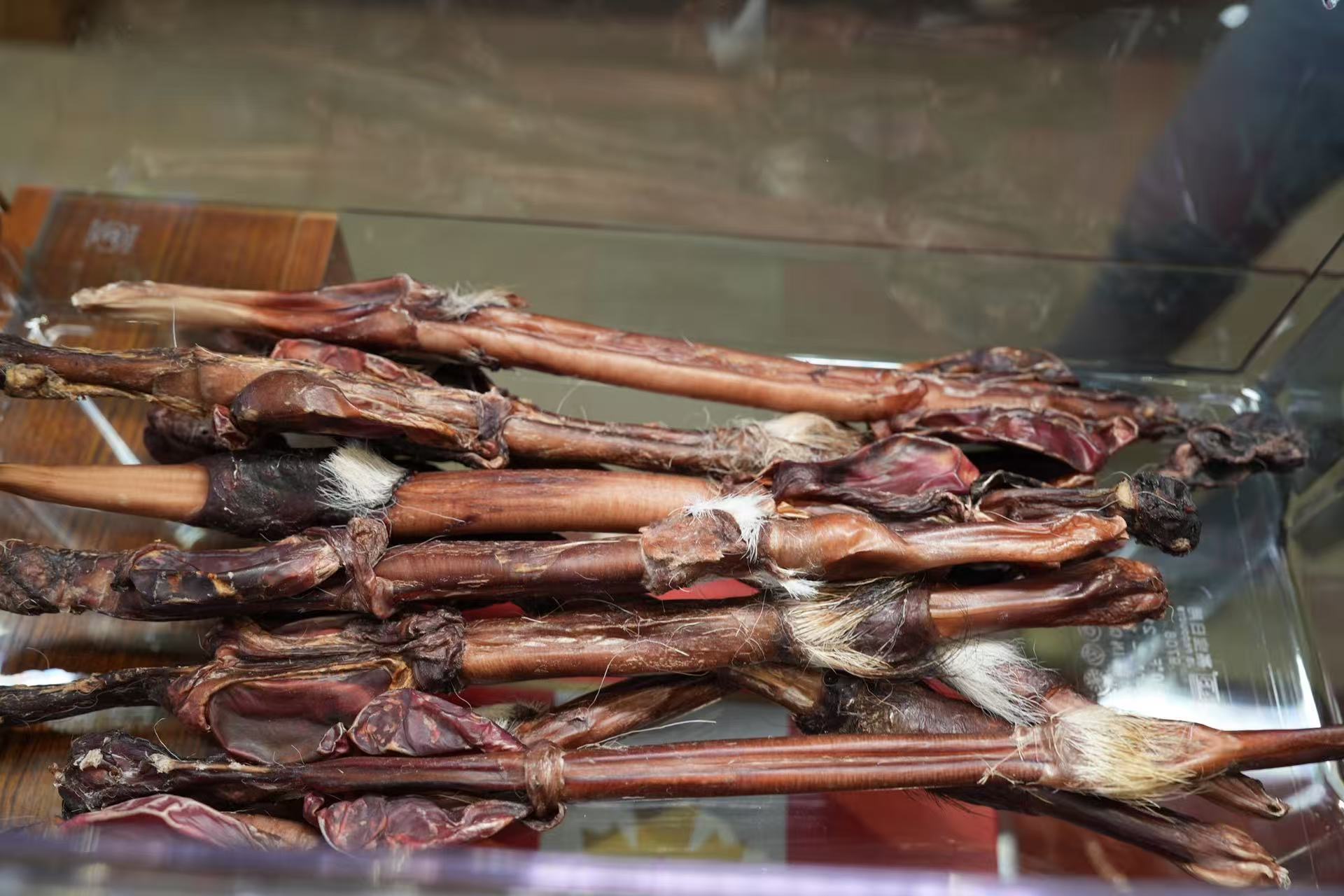 大鹿鞭，根