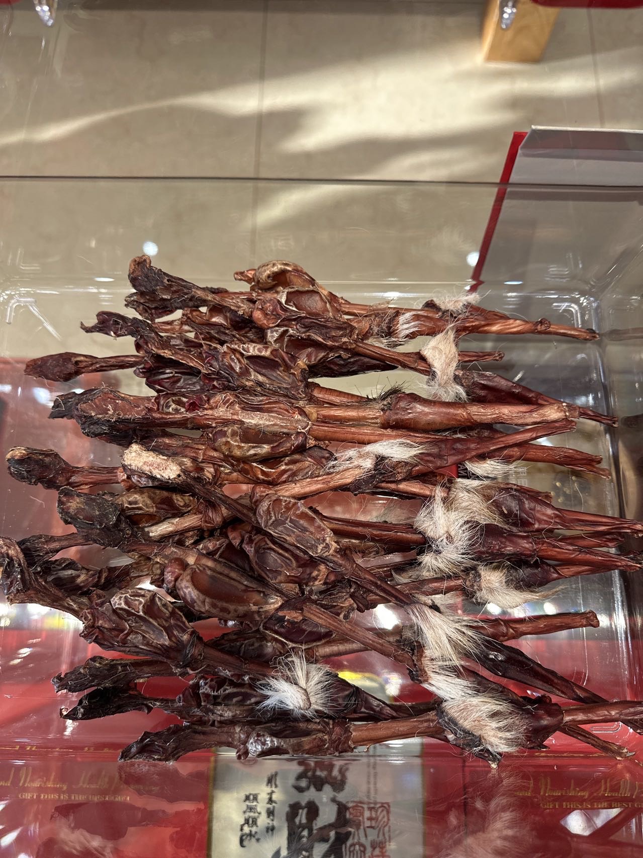 小鹿鞭，根