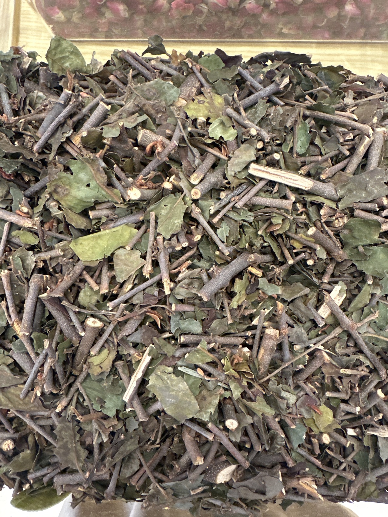 广西桑寄生，克
