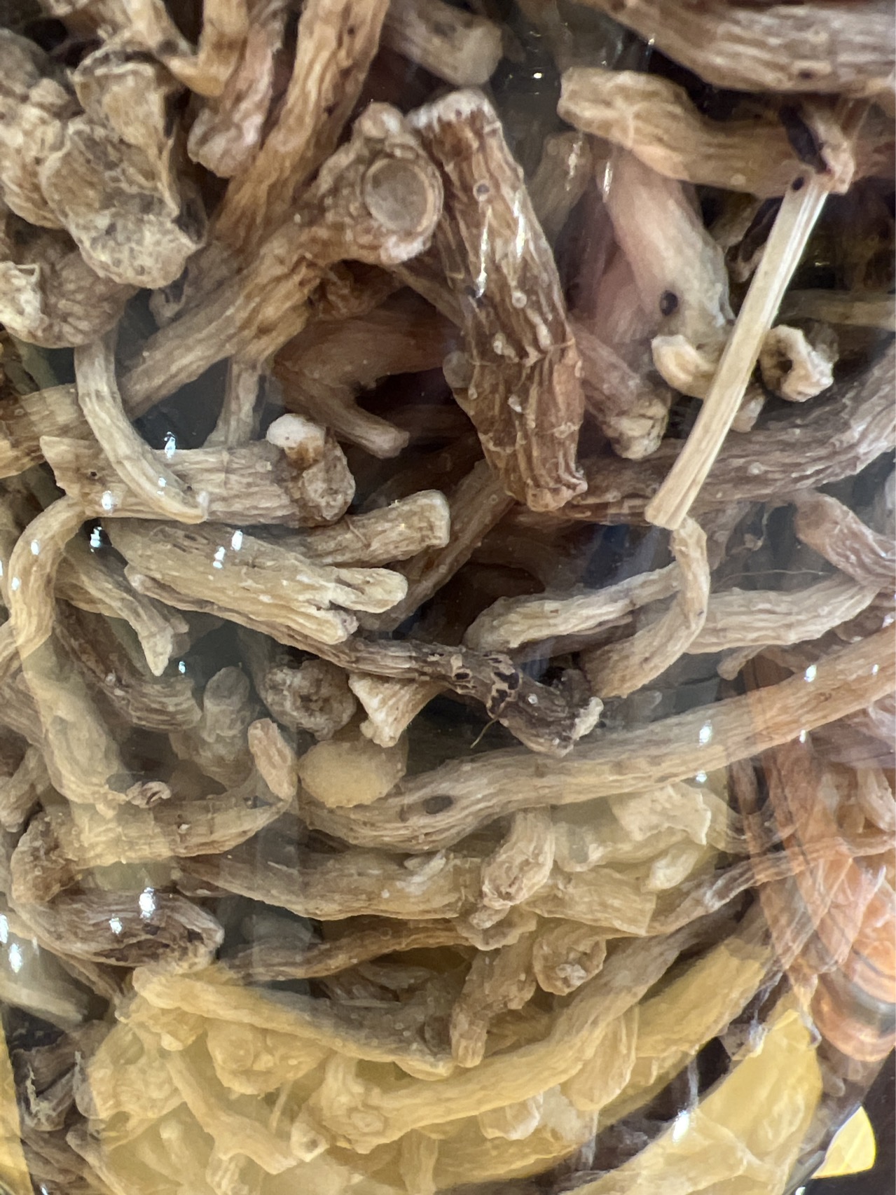 神农架，野生玉竹条，克