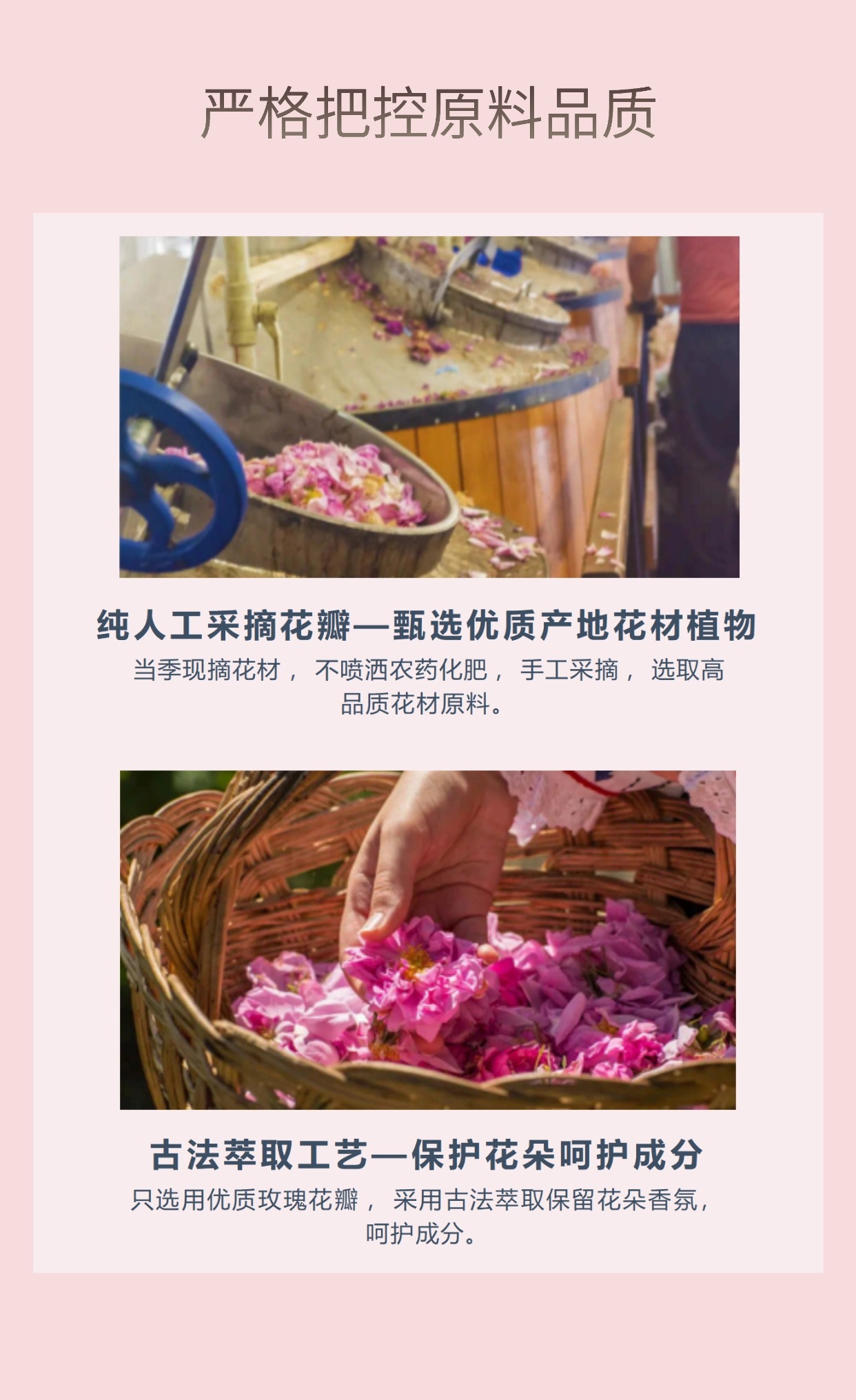 【双12钜惠】依依续照玫瑰面膜（盒装，5片/盒）