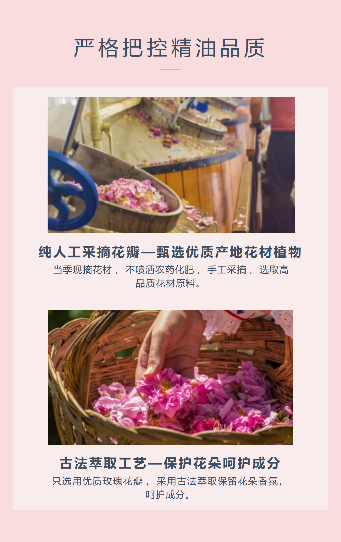 【双12钜惠】依依续照玫瑰悦养莹润精华露（30ml）