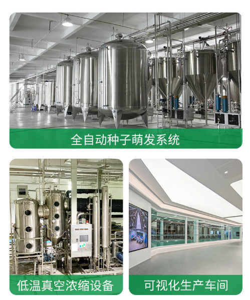 SUDOKU玉米胚芽粉固体饮料
