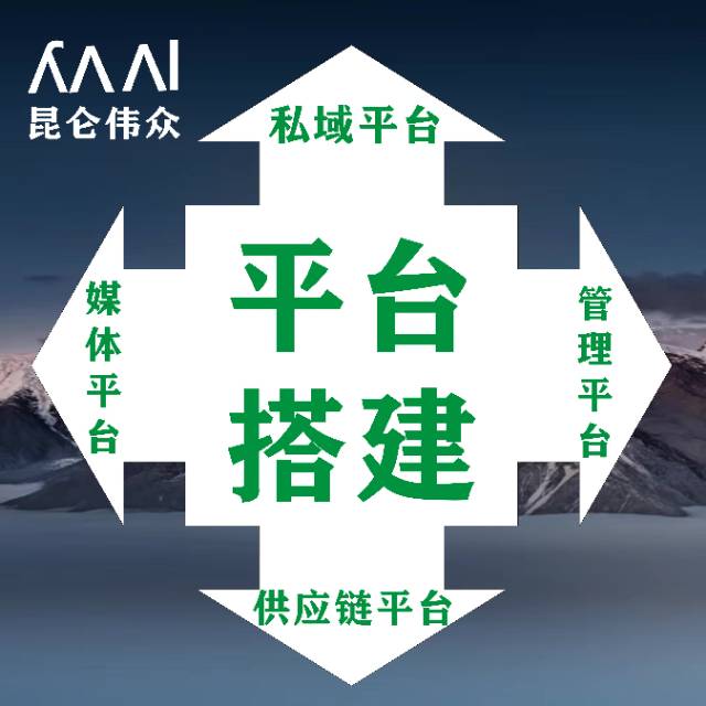 品牌私域平台搭建维护+首年外包服务