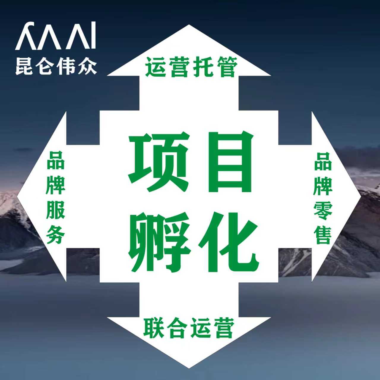 项目孵化落地输出服务