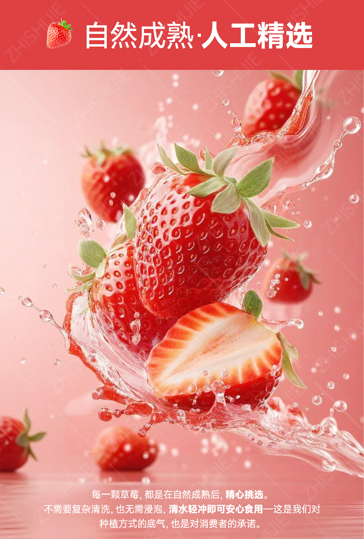 极品生态草莓