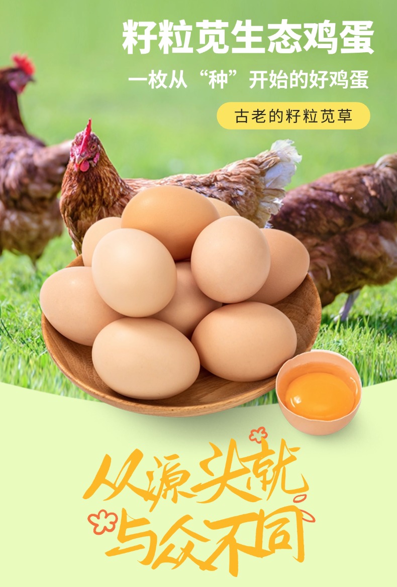 知食界 | 籽粒苋生态蛋鸡春节套餐