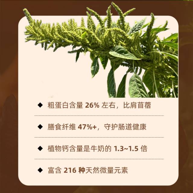 知食界 | 籽粒苋生态蛋鸡春节套餐