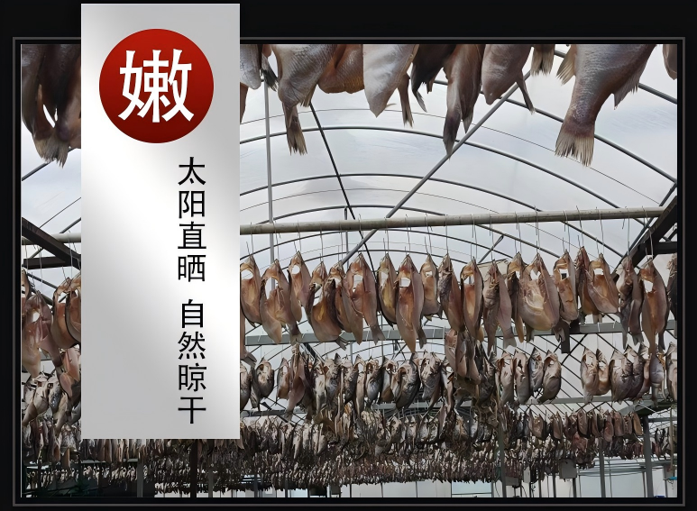 鲜嫩香腌制鲈鱼干