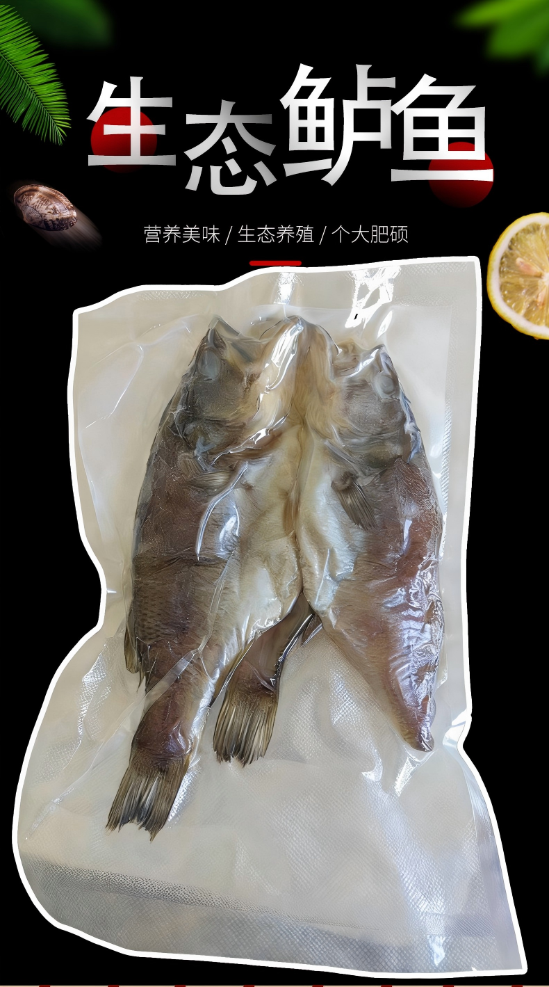 鲜嫩香腌制鲈鱼干