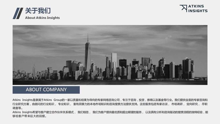 Atkins Insights介绍