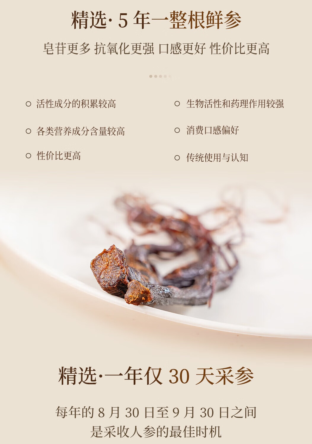 14头盏灯-蜜制陈皮人参（单条）