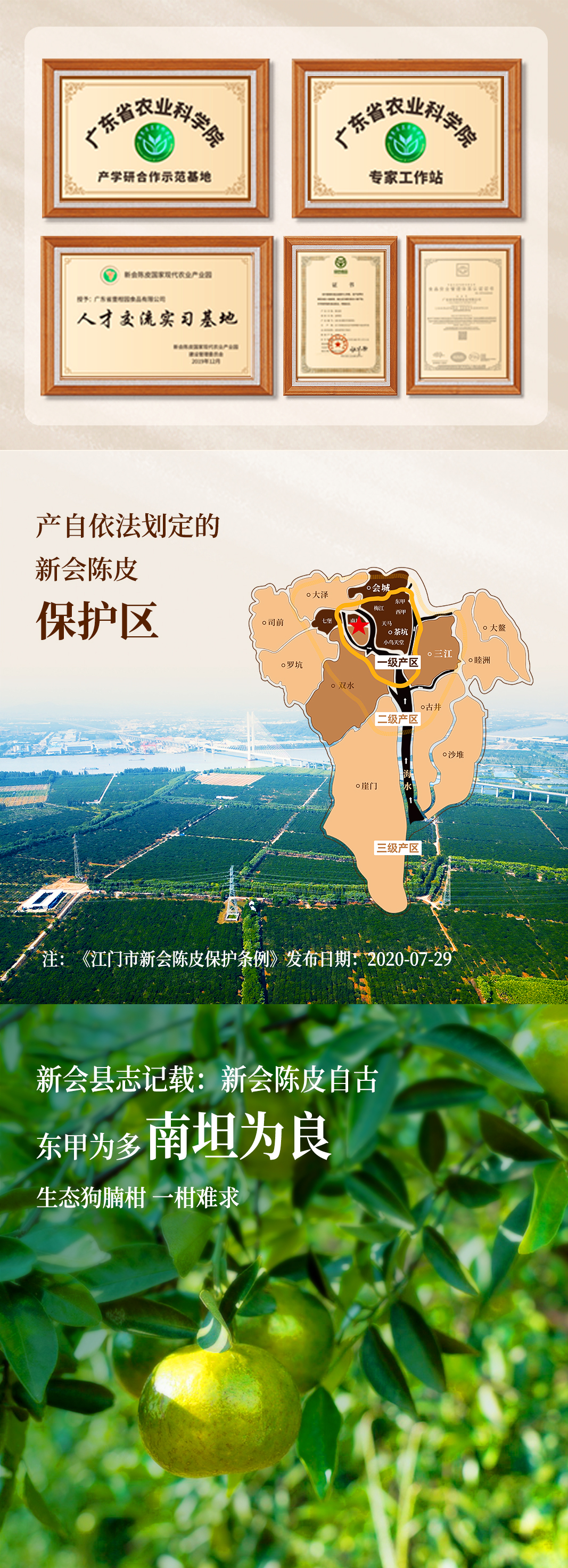 18头盏灯-一盏金-五年陈-100g（袋装）
