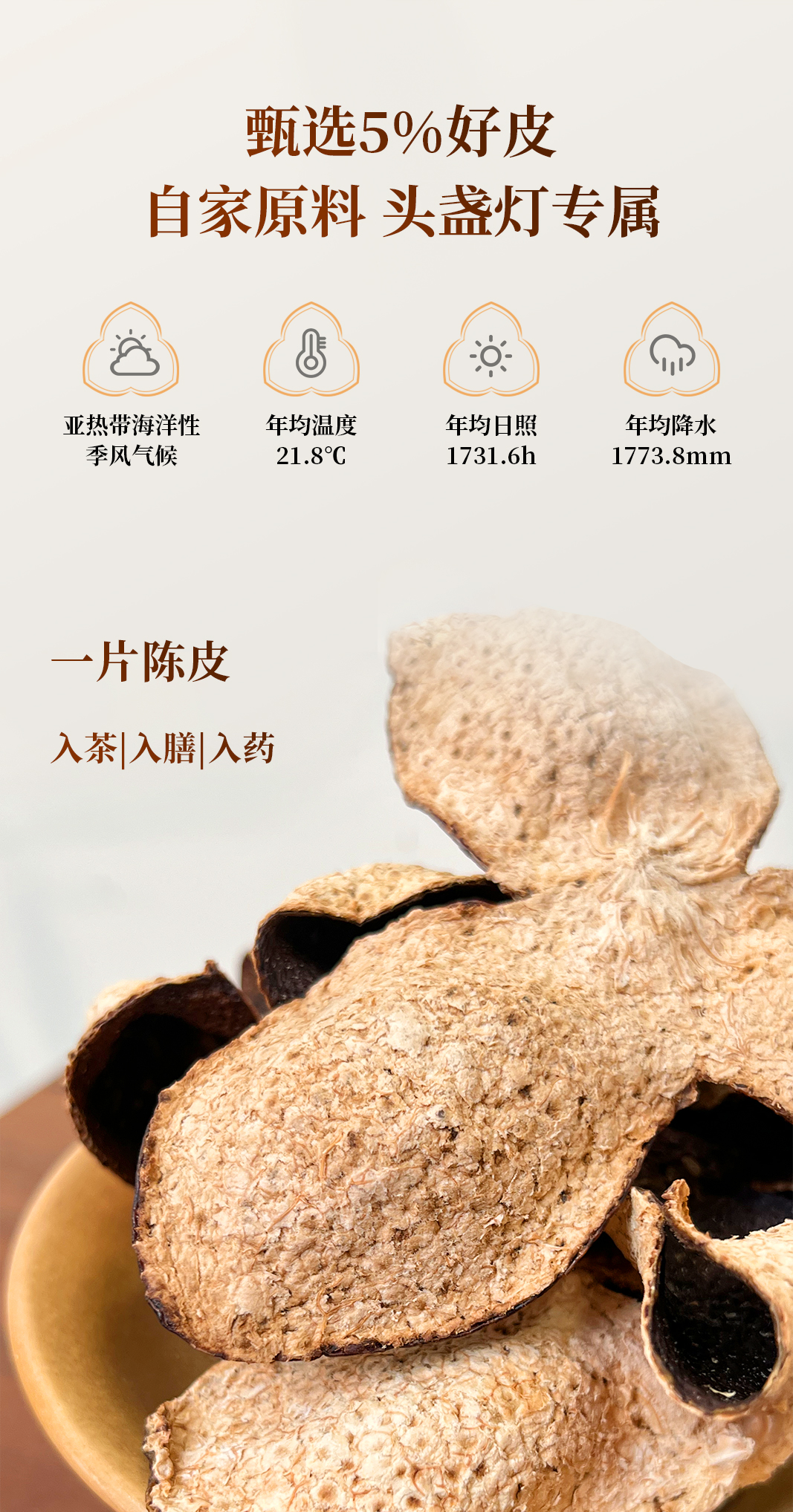 18头盏灯-一盏金-五年陈-100g（袋装）