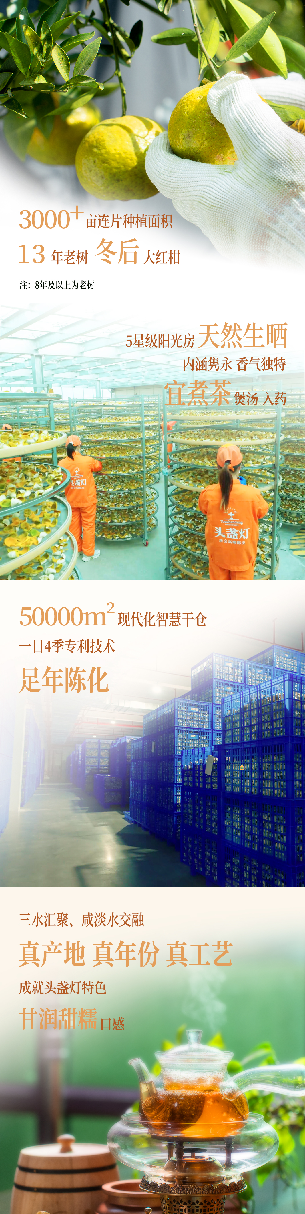 18头盏灯-一盏金-五年陈-100g（袋装）