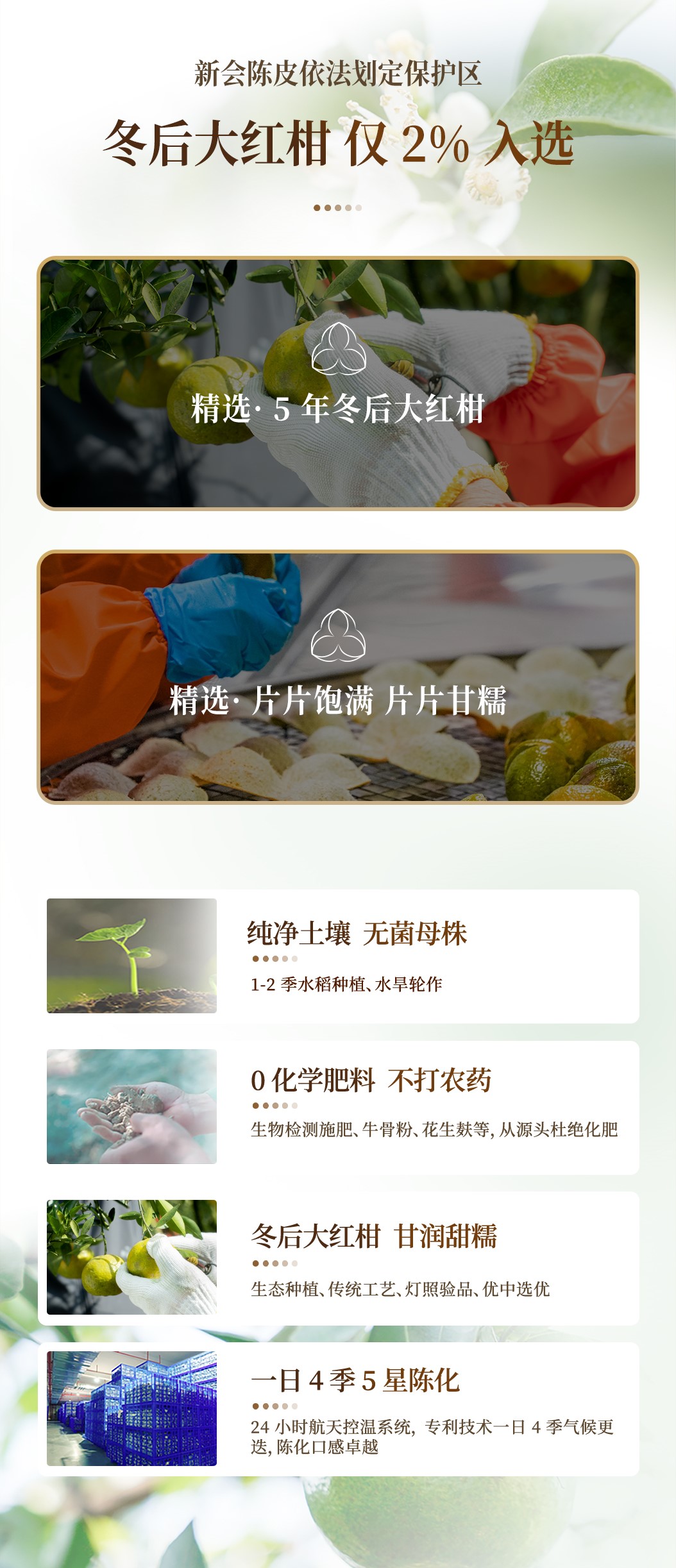 30头盏灯-即食人参陈皮（10片装）