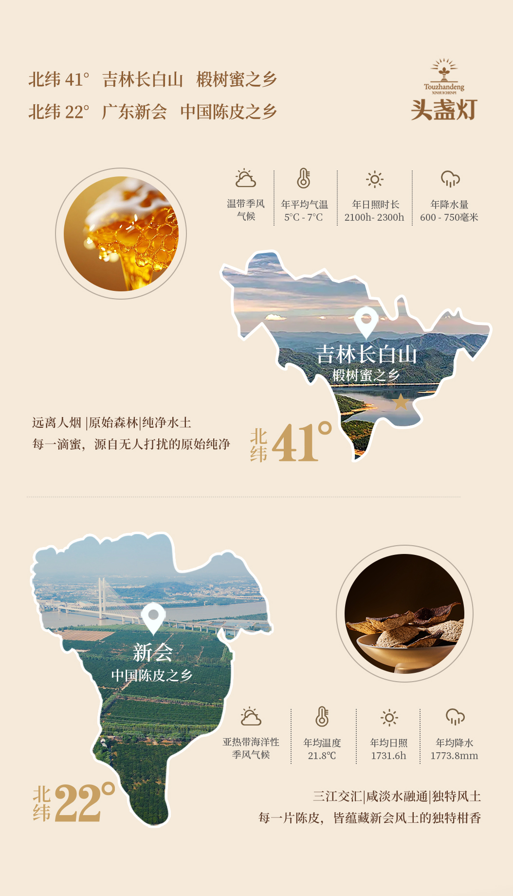 32头盏灯-陈皮蜜膏（两罐装）