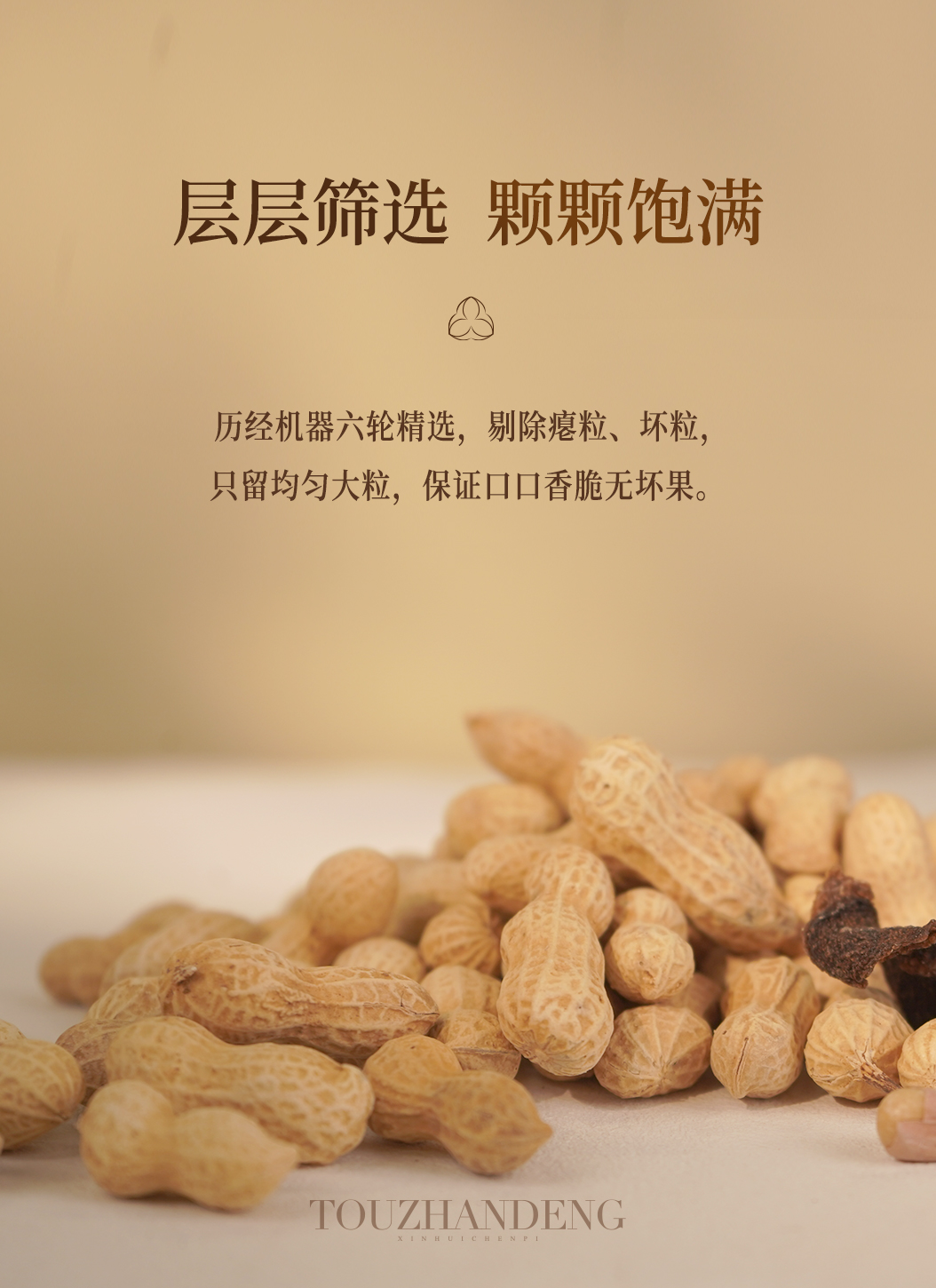 35头盏灯-陈皮花生-300g罐