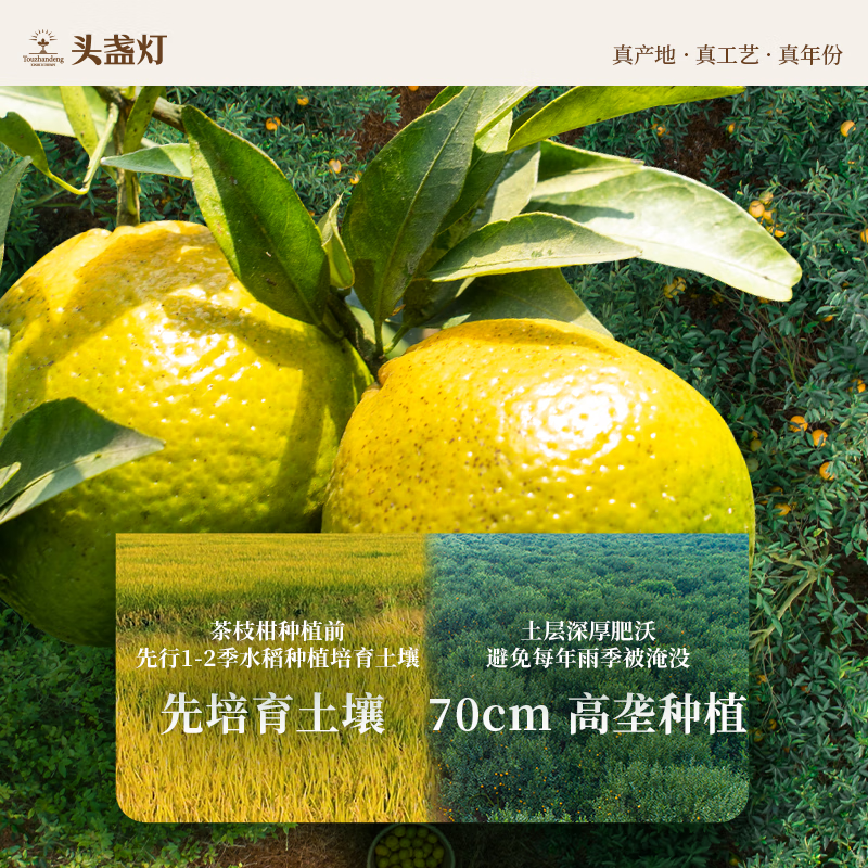 23头盏灯-一盏金-八年陈（50g）