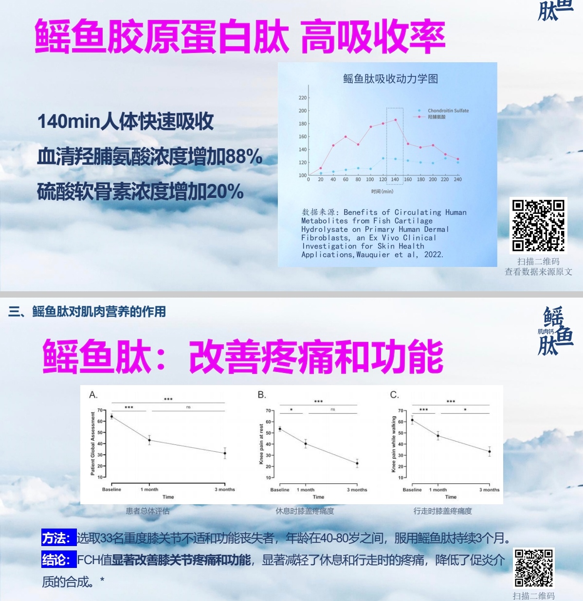 鳐鱼肽肌肉钙多维营养素