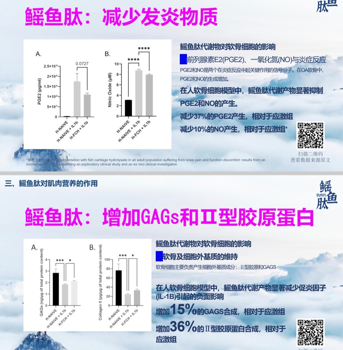 鳐鱼肽肌肉钙多维营养素