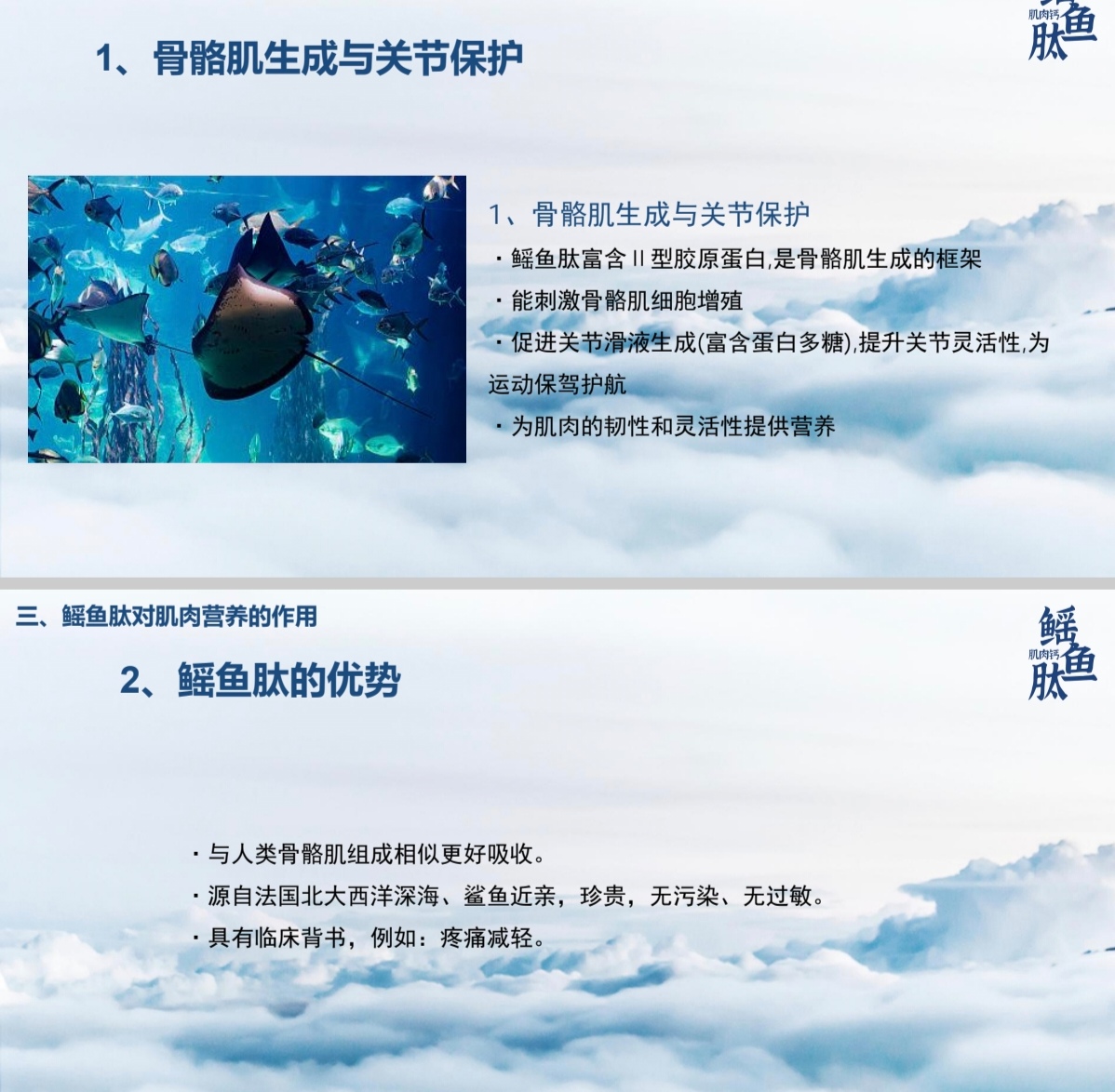 鳐鱼肽肌肉钙多维营养素