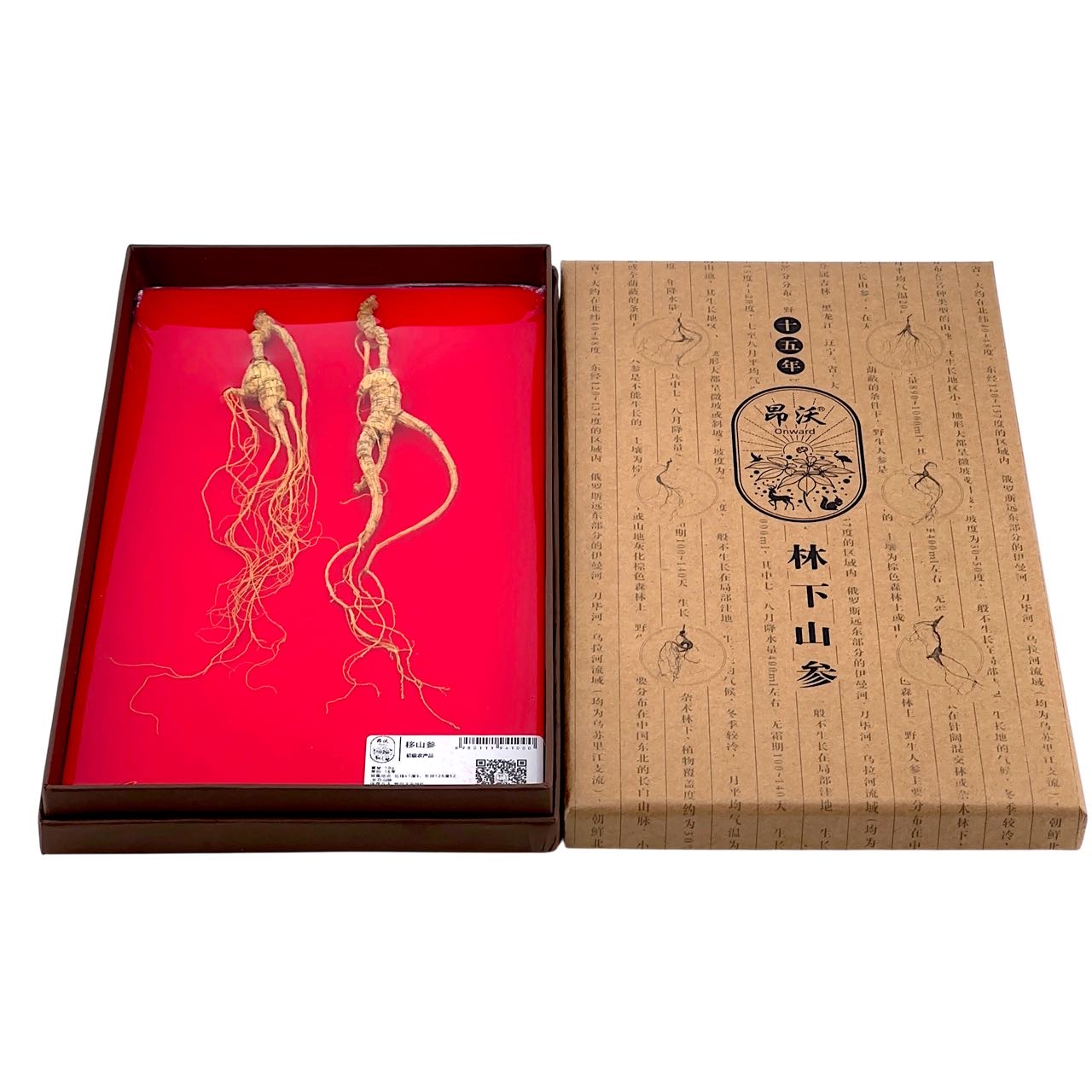 林下山参