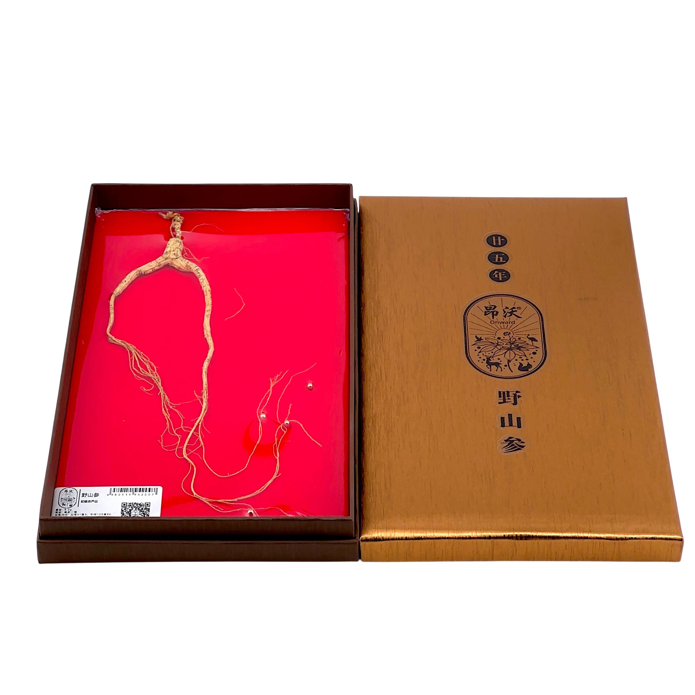 一级小支高级野山参