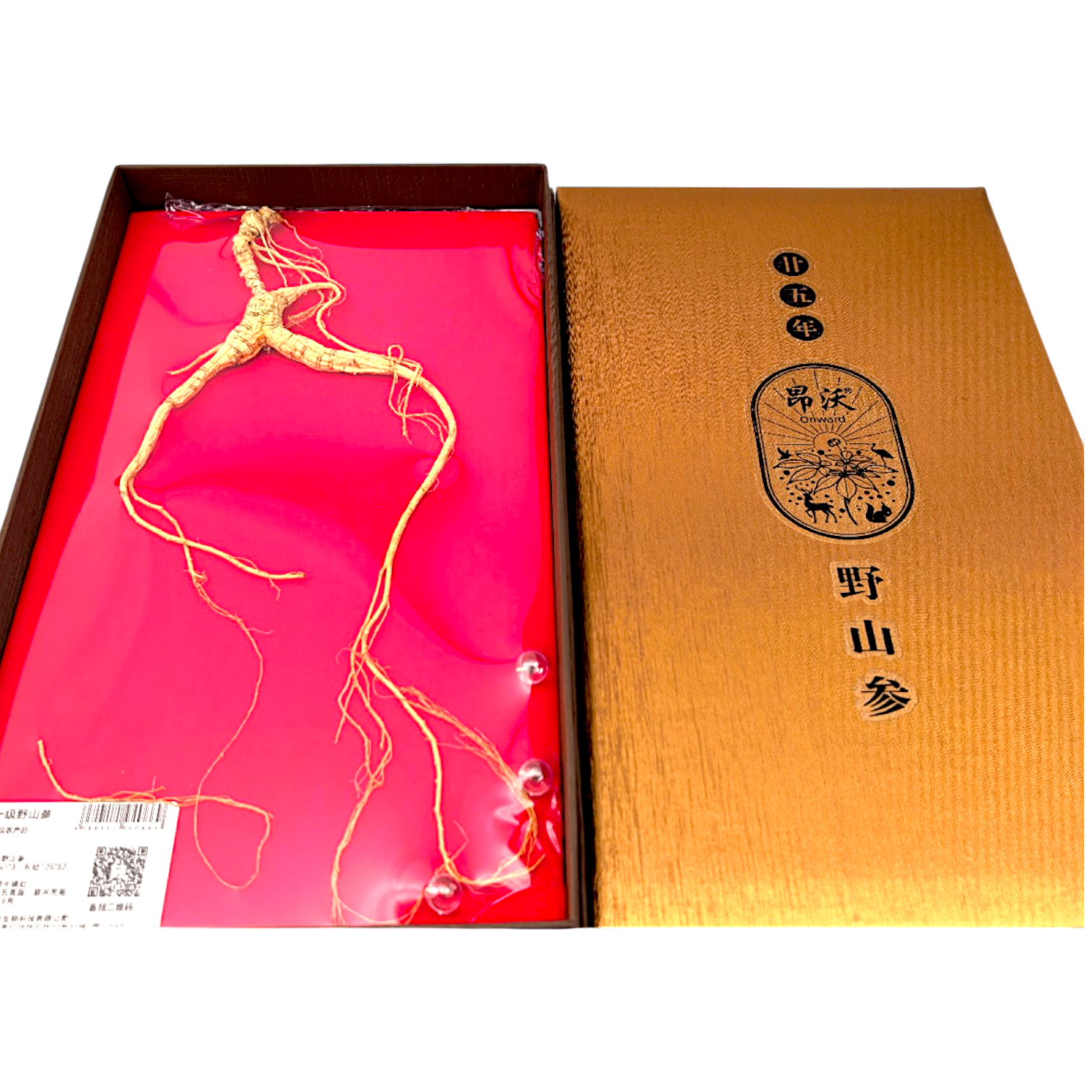 一级中支高级野山参