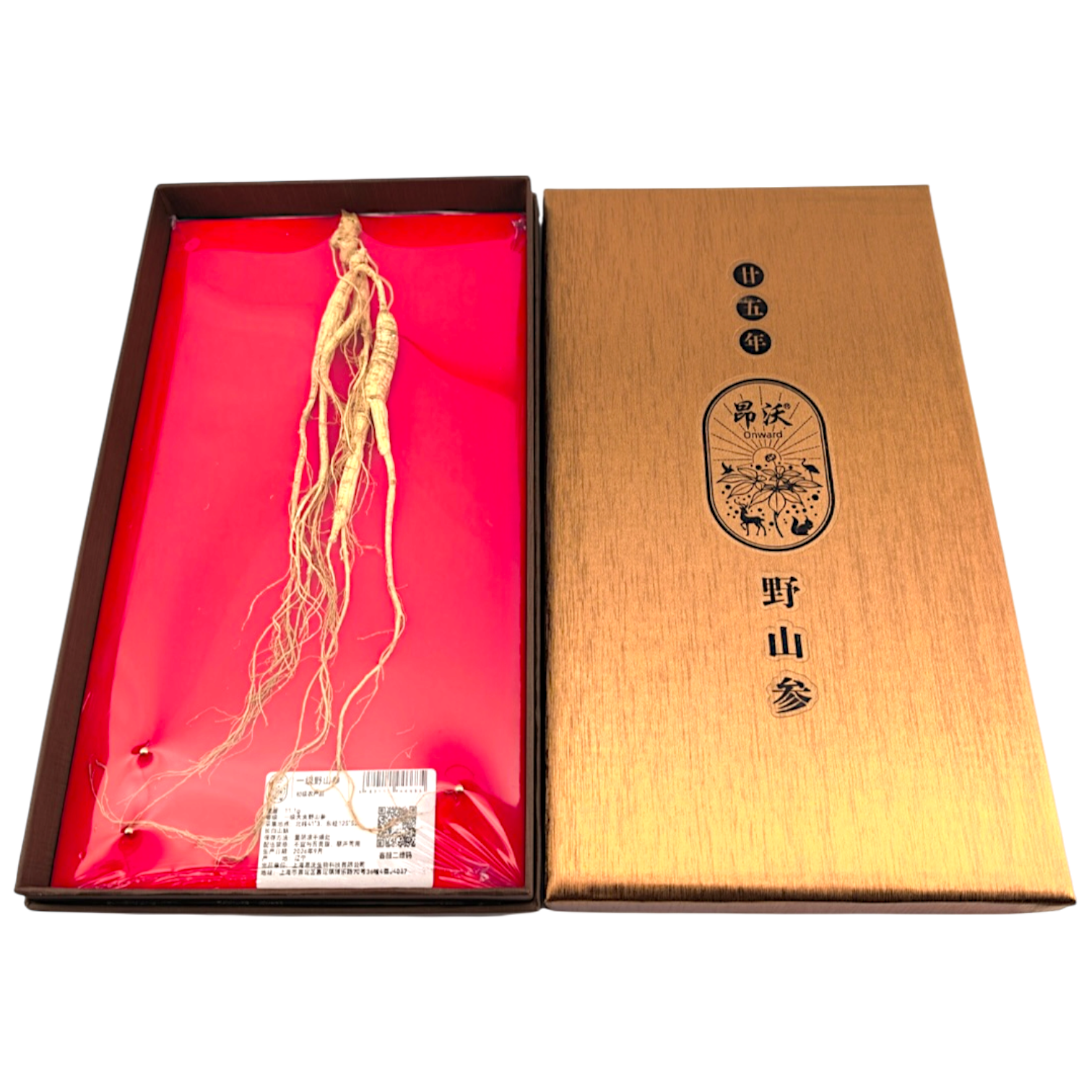一级大支高级野山参