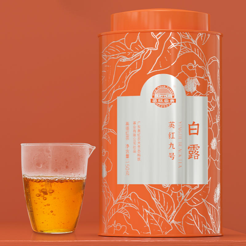 白露 英红九号罐装