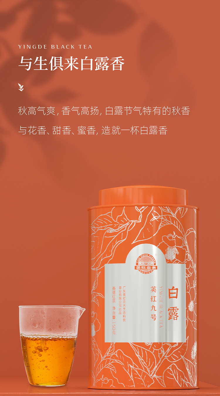 白露 英红九号罐装