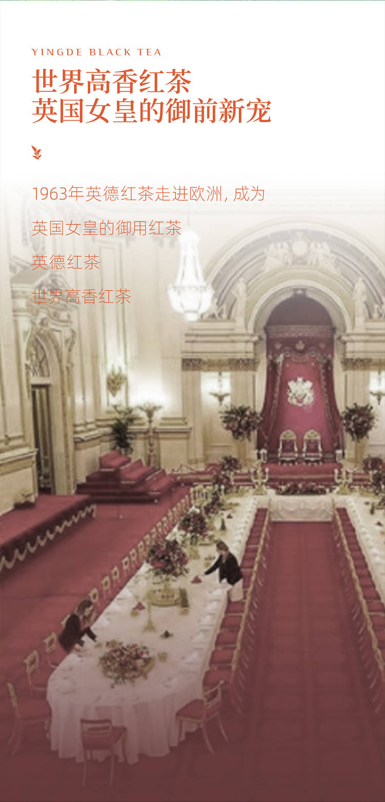 白露 英红九号罐装