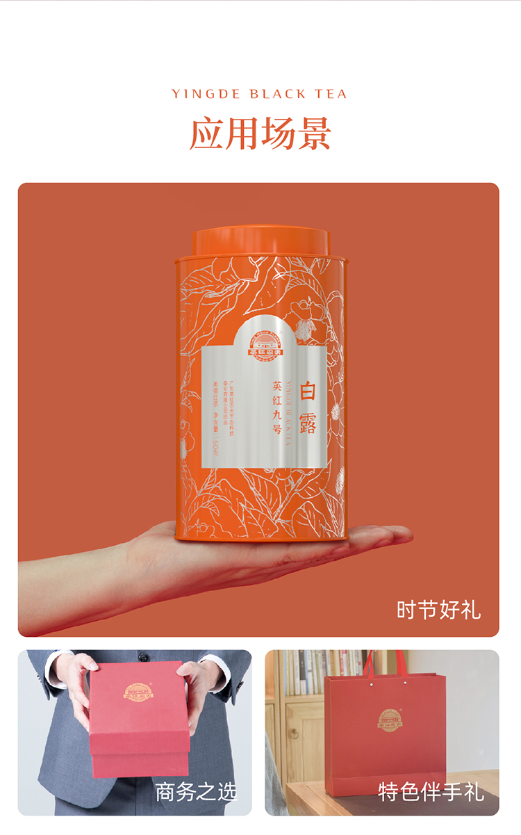 白露 英红九号罐装
