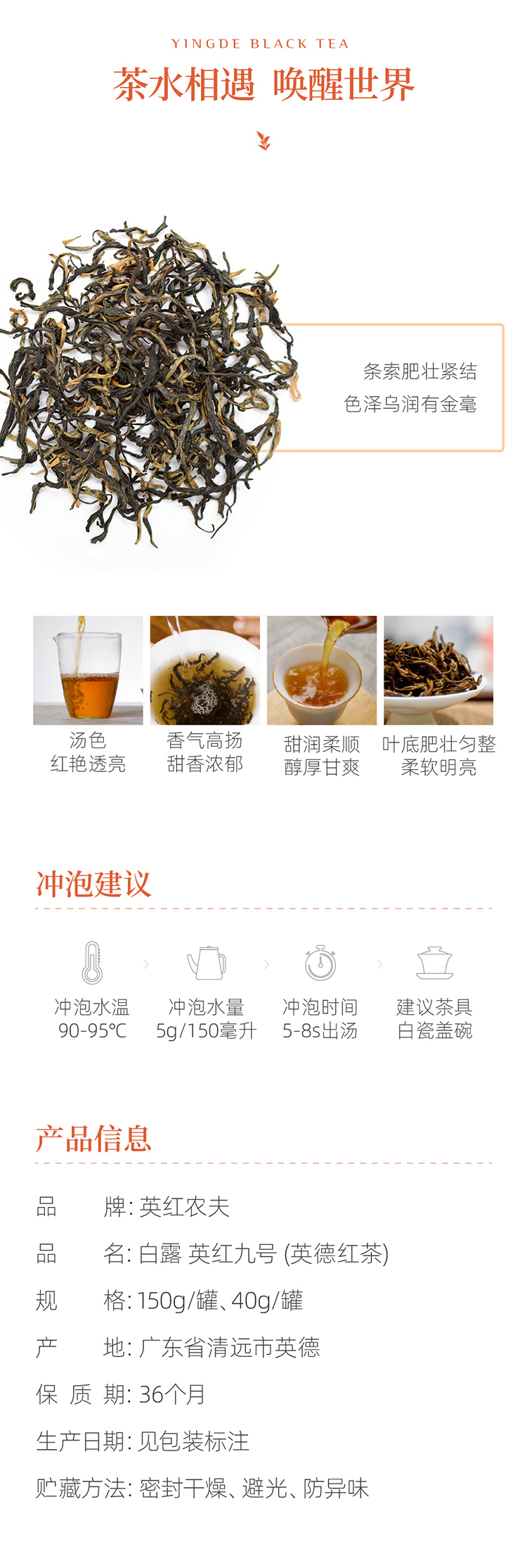 白露 英红九号罐装