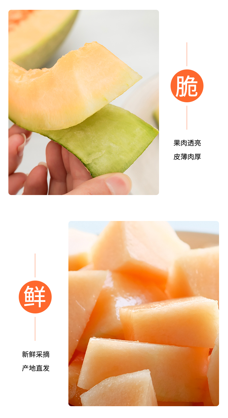 新疆超甜哈密瓜1.5～2kg（样板不发货）