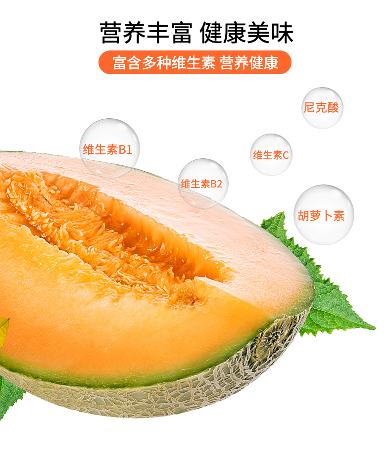 新疆超甜哈密瓜1.5～2kg（样板不发货）