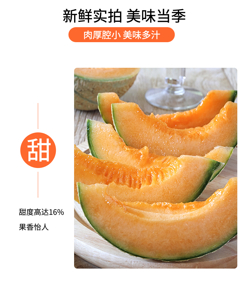 新疆超甜哈密瓜1.5～2kg（样板不发货）