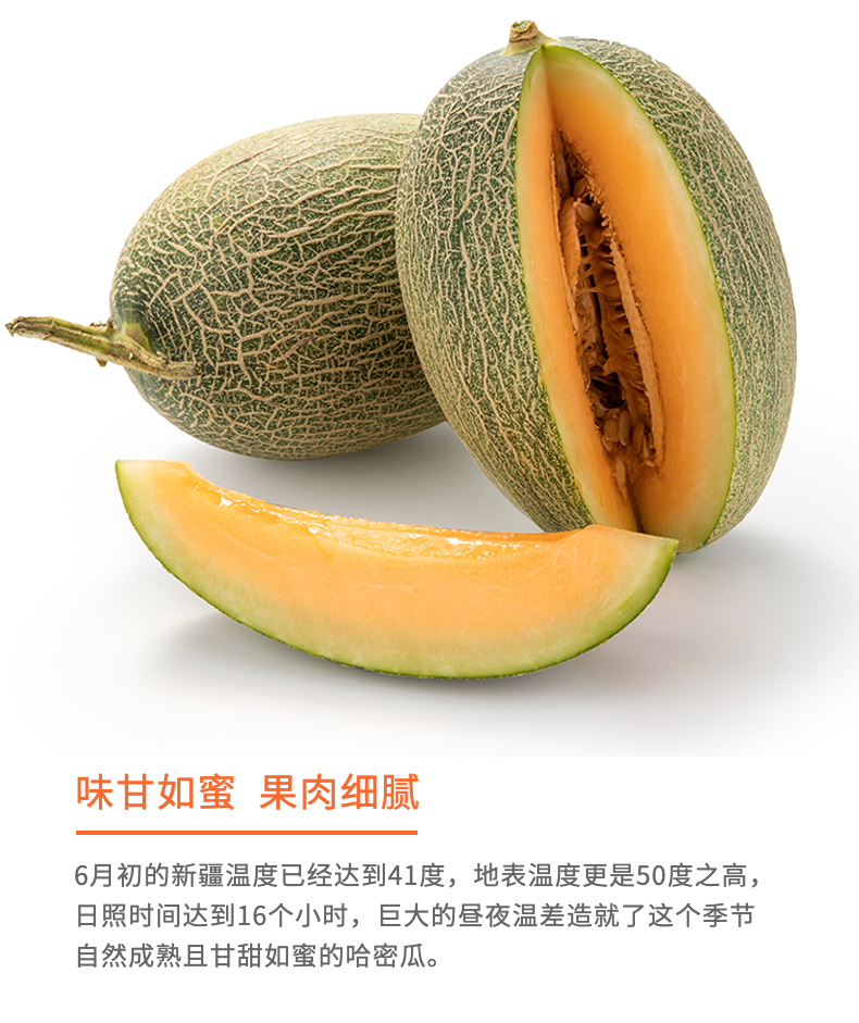 新疆超甜哈密瓜1.5～2kg（样板不发货）