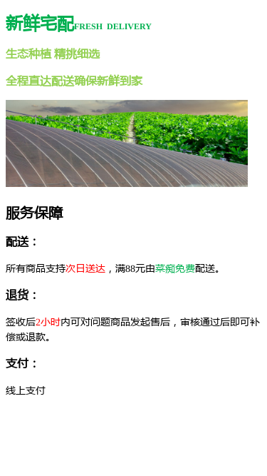 罗马生菜
