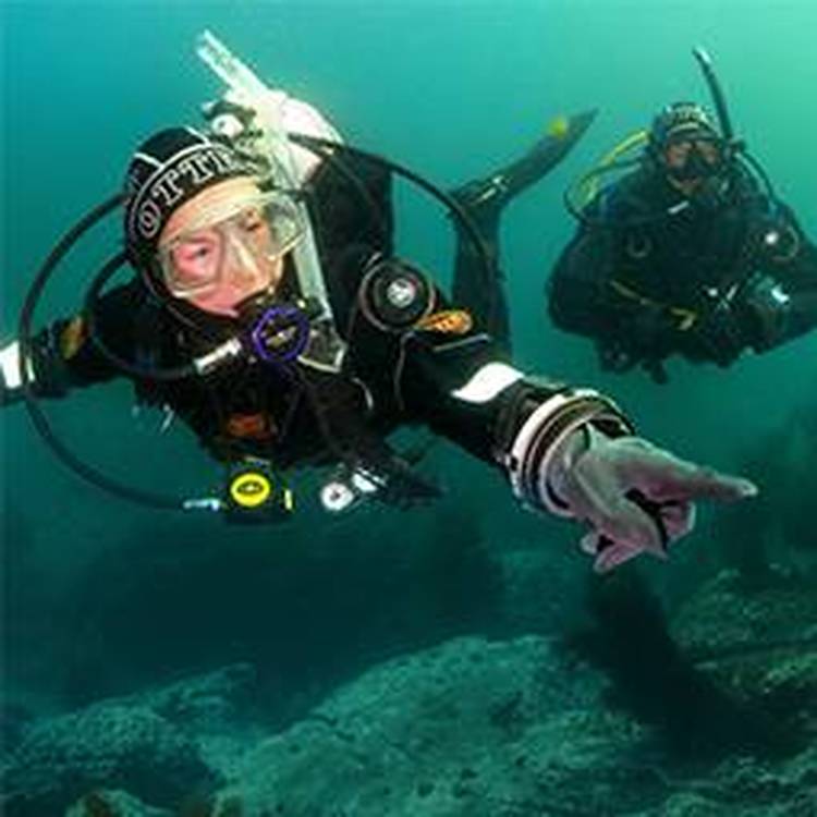 (IDC STAFF)参谋教练