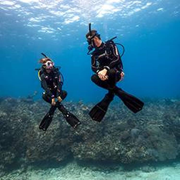 7月3日庙湾岛潜水，当天来回，两潜