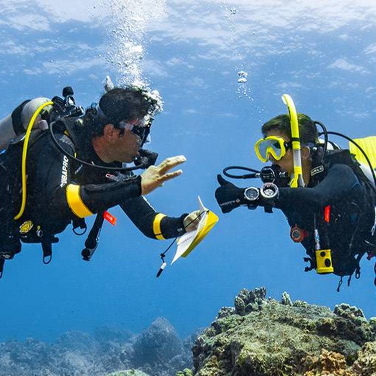 (IDC) 教练发展课程