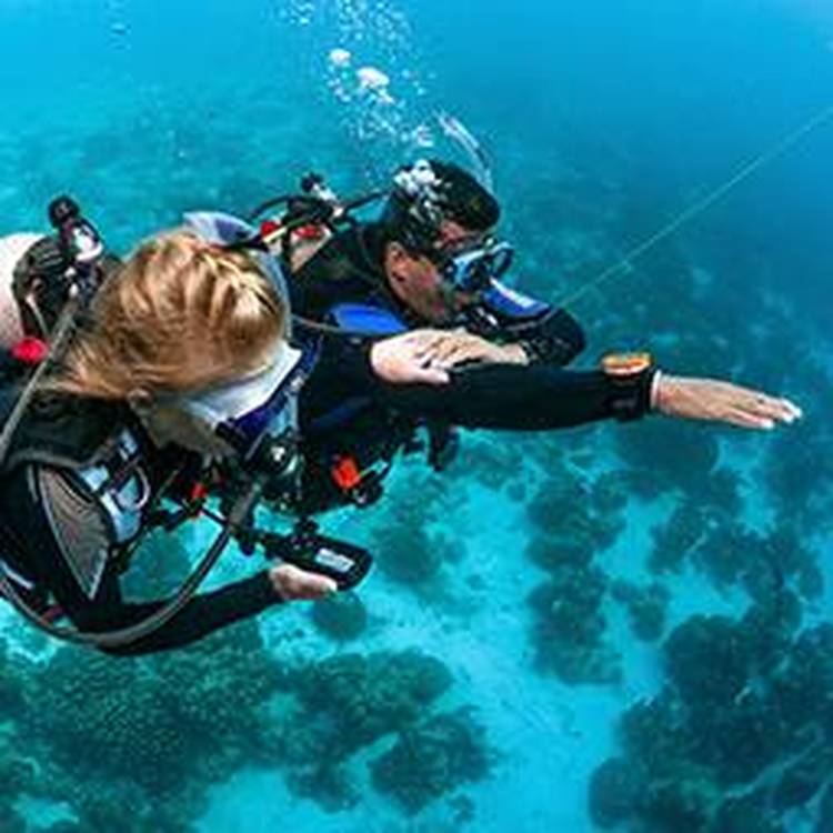 （RESCUE) 救援潜水员