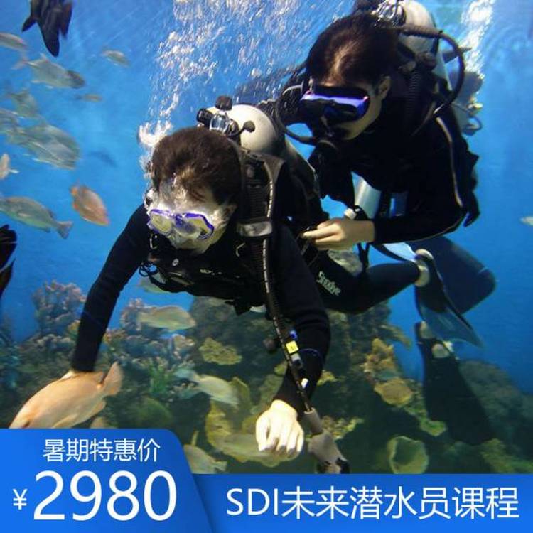 SDI未来潜水员课程